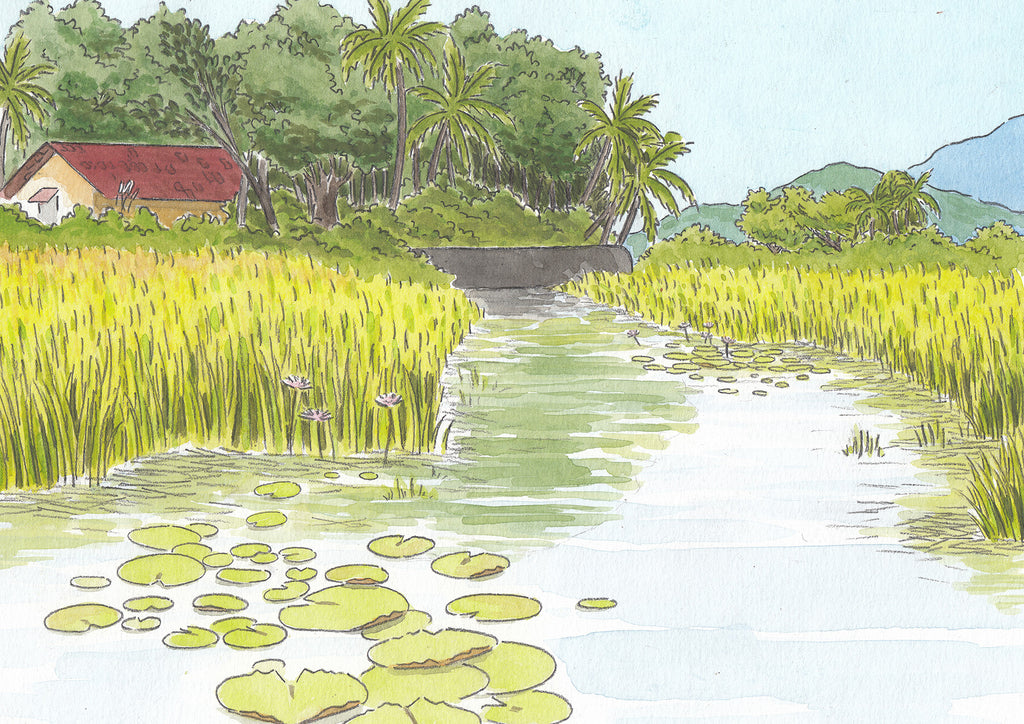 Lotus Pond | Art Print
