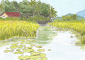 Lotus Pond | Art Print