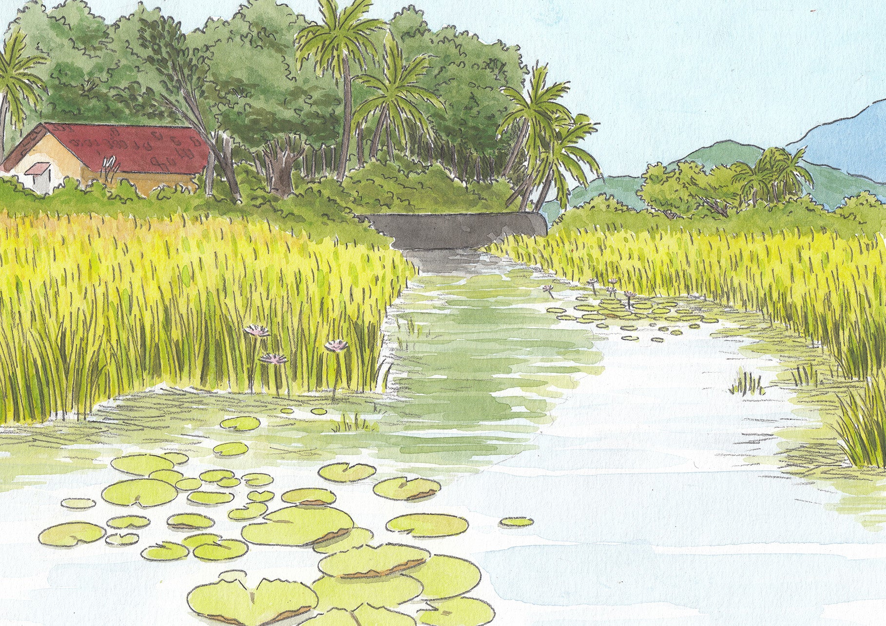 Lotus Pond | Art Print